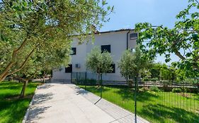 Apartments Dragutin
